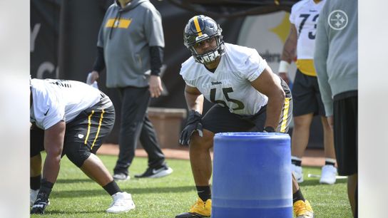 PFF Predicts Multiple Steelers Will Breakout in 2021 (Steelers News)