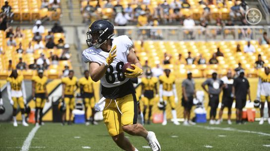 Initial Training Camp Stock Report (Steelers News)