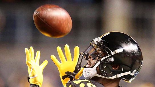 Steelers Inactives Week 12 (Steelers News)