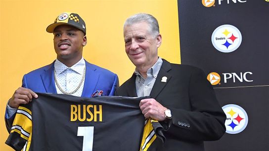 Steelers Devin Bush