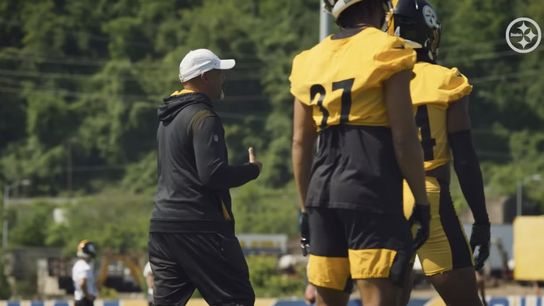 Steelers Teryl Austin