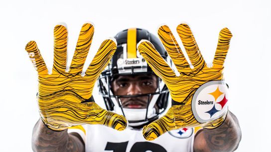 Steelers Rookie Could Make Impact Early in 2019 (Steelers News)