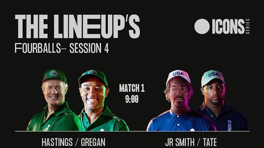 Steelers Icons Series