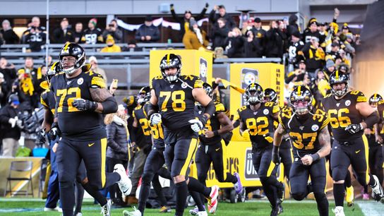 Steelers Buying Dinner for Allegheny County Poll Workers (Steelers News)