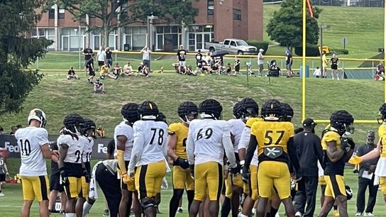 Steelers' Cameron Heyward Fight