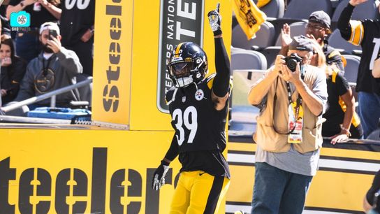 Steelers Minkah Fitzpatrick