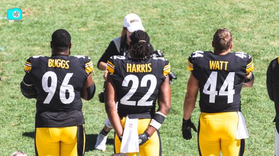 Steelers Pre-draft AFC North and Conference Odds (Betting)