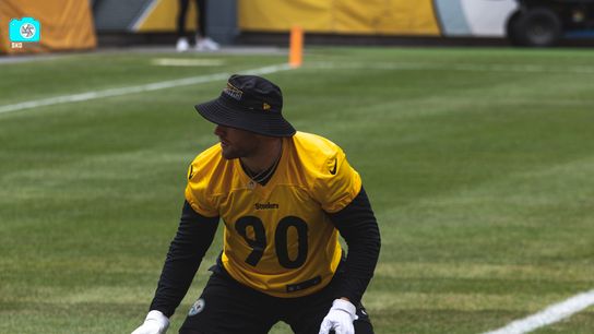 Steelers Need to Address Depth Behind TJ Watt And Alex Highsmith, But Who Is Available Without An Ego? (Pittsburgh Steelers)