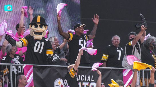 How One Steelers Star Became A Voice For Medical Cannabis (Steelers News)