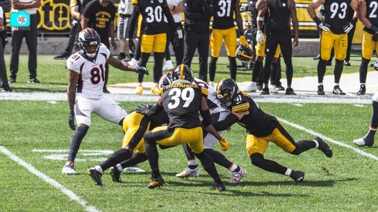 Steelers Minkah Fitzpatrick Robert Spillane