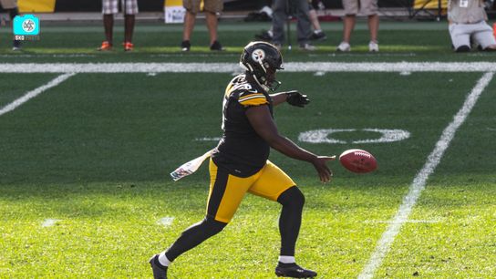 Steelers Pressley Harvin Steelers Pressley Harvin