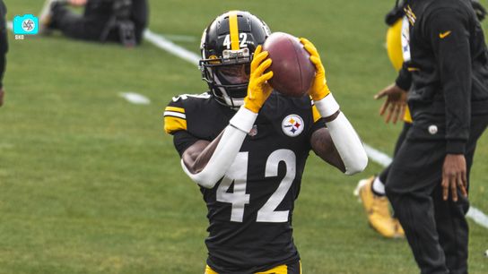 Steelers James Pierre Steelers James Pierre