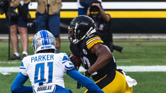 Steelers Week 10 Fantasy Football Outlook (Fantasy Football)
