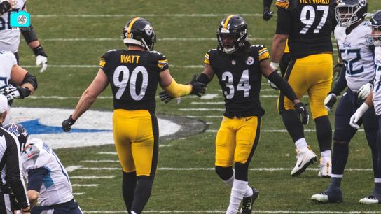 Steelers TJ Watt Terrell Edmunds
