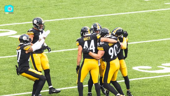 Steelers TJ Watt Derek Watt