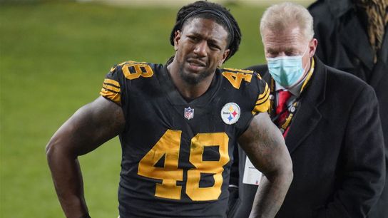 Steelers Involved in 4 of ESPN's Top 50 Free Agent Best Fits (Free Agency News)