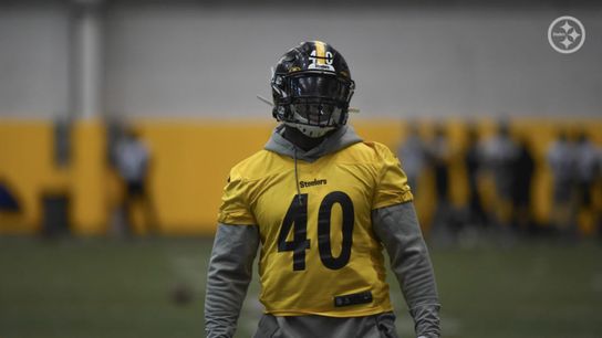 Steelers Waive 3 Players Including LB Tegray Scales (Off-Season News)