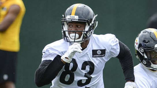 Anatomy of a WR - Canaan Severin (Steeler Blog Posts)