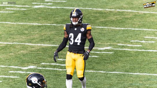 Steelers Terrell Edmunds Steelers Terrell Edmunds