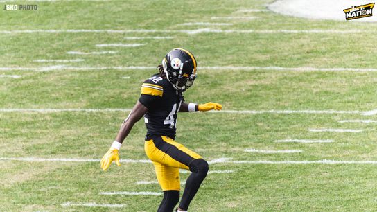 Steelers Cornerback James Pierre Steelers Cornerback James Pierre