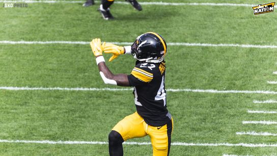 Steelers James Pierre Steelers James Pierre
