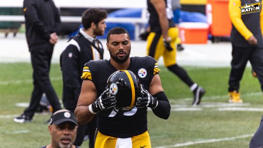 Steelers DL Chris Wormley