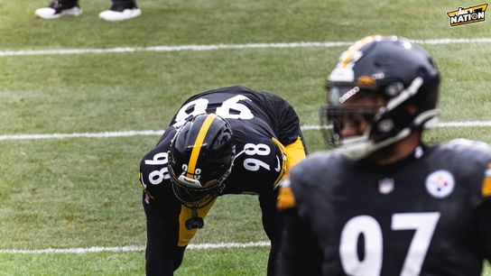 Steelers DL DeMarvin Leal and Cam Heyward