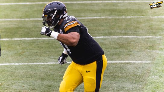 Steelers DL Cam Heyward