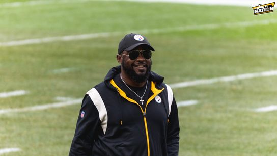NFL Network Analyst Directly Calls Any Steelers Fans Who Want Mike Tomlin Fired 'Dumb' Ahead Of Week 18 (Mike Tomlin News)