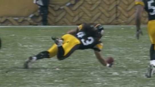 Steelers' Troy Polamalu Interception