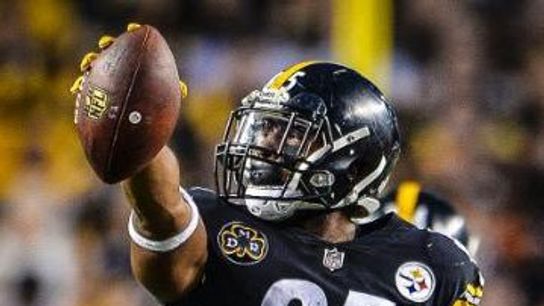 Steelers Lose Another TE to Injury (Injury News)