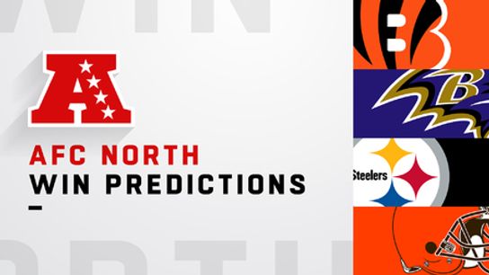 Who Will Win the AFC North in 2019? (Steelers News)