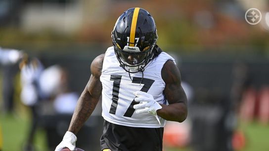 Steelers Sign WR Anthony Miller To Reserve/Futures Contract (Steelers News)
