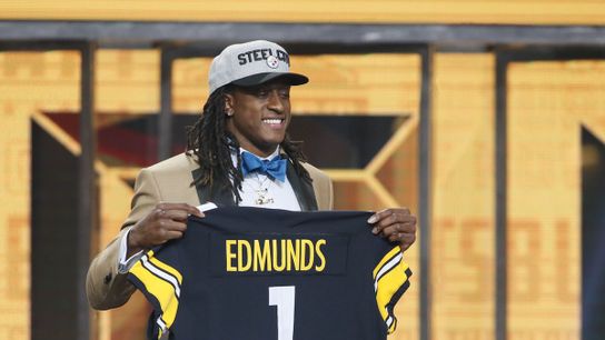 Have the Steelers Really Addressed their Need at Inside Linebacker? (Steelers News)