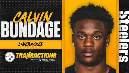 Steelers Re-Sign LB Calvin Bundage (Off-Season News)