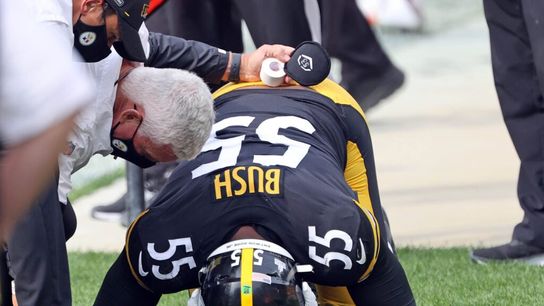 Steelers Devin Bush tears ACL / PennLive.com