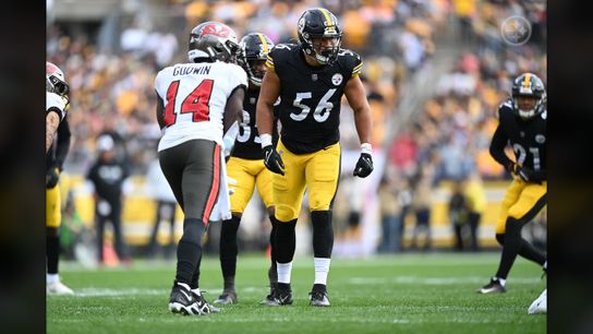 Steelers Alex Highsmith Consistently Stellar Performance Frees Up His Fellow Defenders In Impressive Upset of Tampa Bay In Week 6 (Analysis)