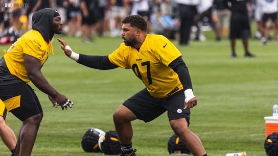 Steelers defensive linemen Larry Ogunjobi and Cam Heyward