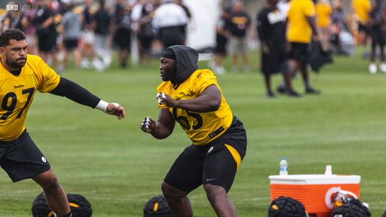 Steelers Larry Ogunjobi Cam Heyward