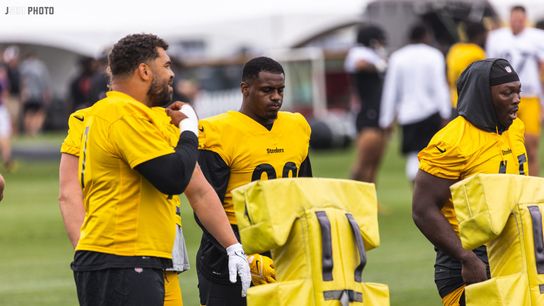 Steelers Cam Heyward DeMarvin Leal Larry Ogunjobi
