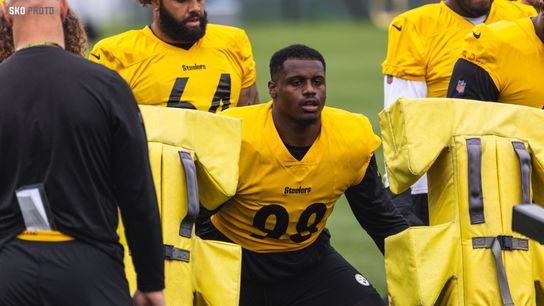 Steelers DeMarvin Leal