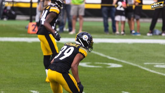 Steelers Minkah Fitzpatrick