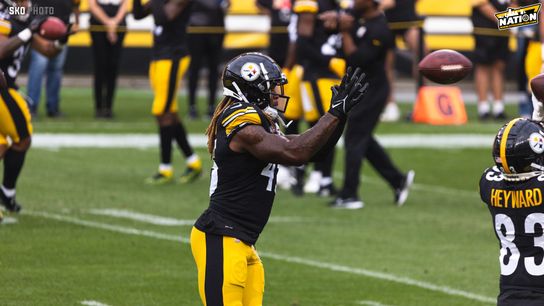 steelers diontae johnson steelers diontae johnson