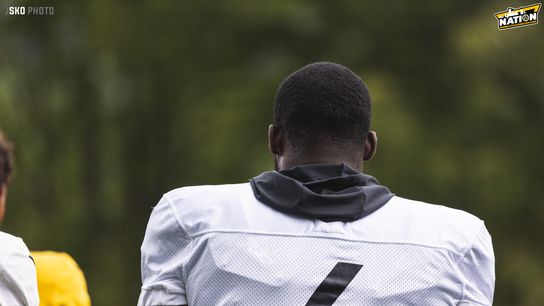 Steelers Pressley Harvin III