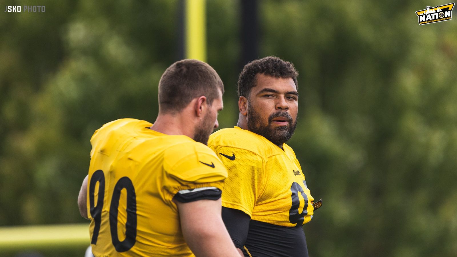 cameron heyward jersey