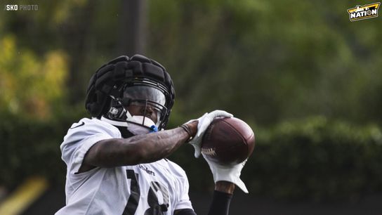 Steelers Johnson