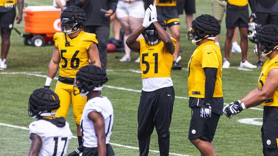 Steelers Myles Jack Alex Highsmith