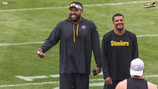 Steelers Cameron Heyward and Minkah Fitzpatrick Steelers Cameron Heyward and Minkah Fitzpatrick