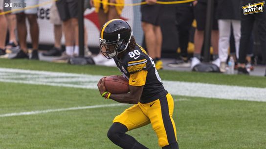 Steelers wide receiver Tyler Vaughns