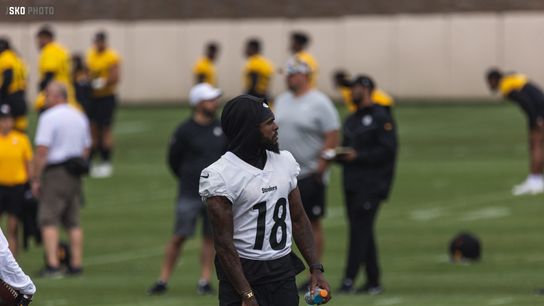 Steelers' Final Injury Report For Week 1 At Cincinnati; Starters Johnson and Okorafor Full Participants (Steelers News)